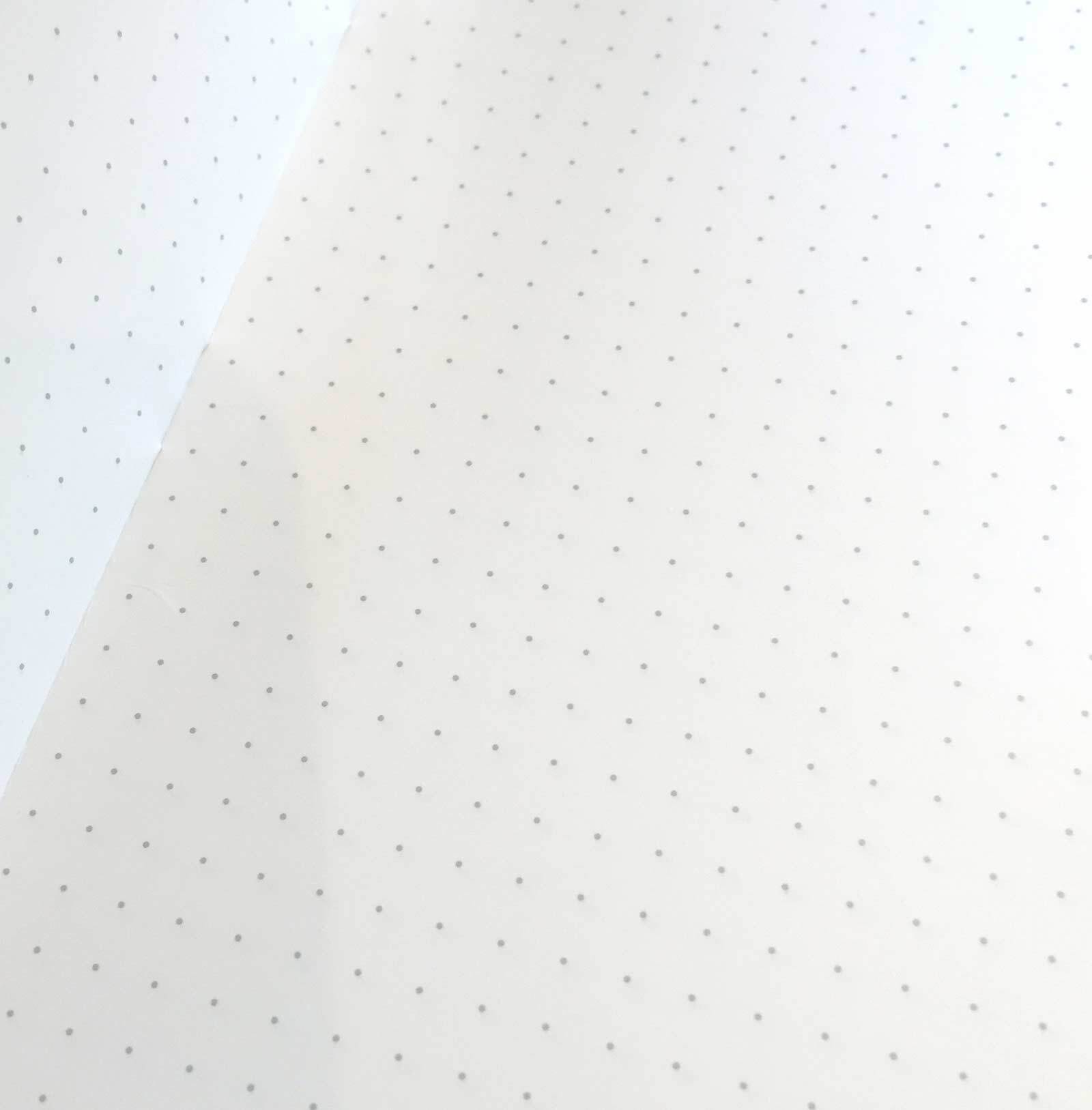 Field Notes Expedition dot-graph paper